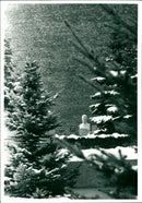 Soviet politician Josef Stalin - Vintage Photograph