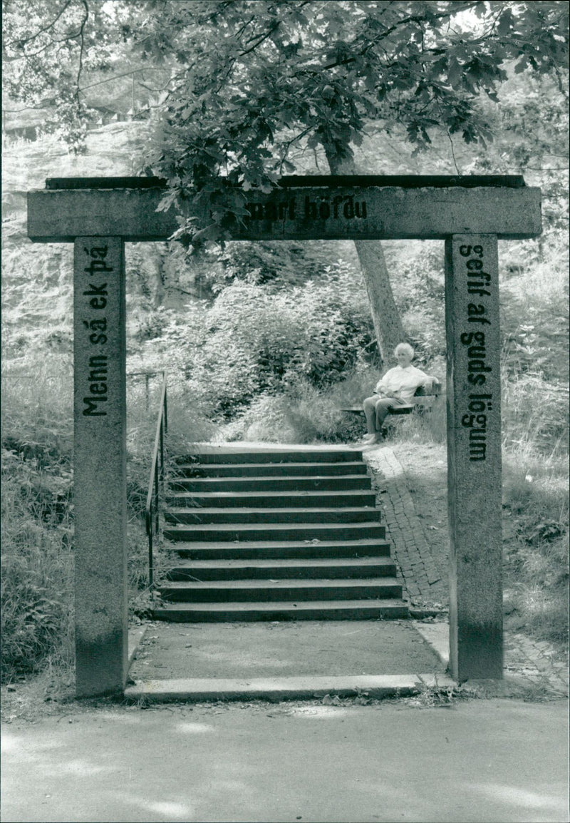 Dive Mountain in VÃ¤sterÃ Â¥ s - Vintage Photograph