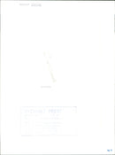 Politician Gunnar Strang - Vintage Photograph