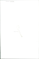 Politician Gunnar Strang - Vintage Photograph