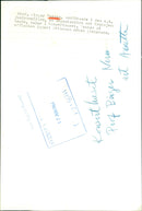 Prof. Birger Nerman, chair of the so-called June Committee, speaks in the Concert Hall - Vintage Photograph