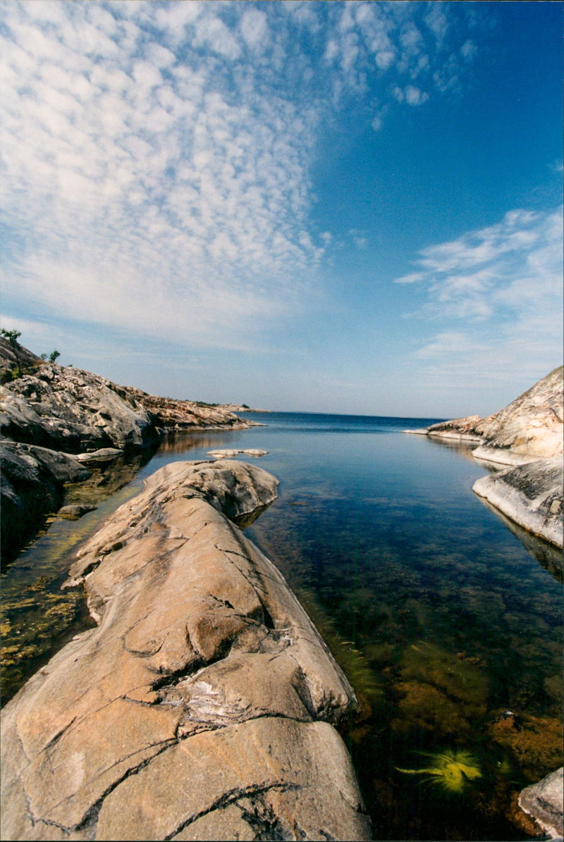 Stockholm archipelago - Nature reserve Bullerön - Vintage Photograph