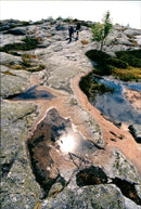 Stockholm archipelago - Nature reserve Bullerön - Vintage Photograph