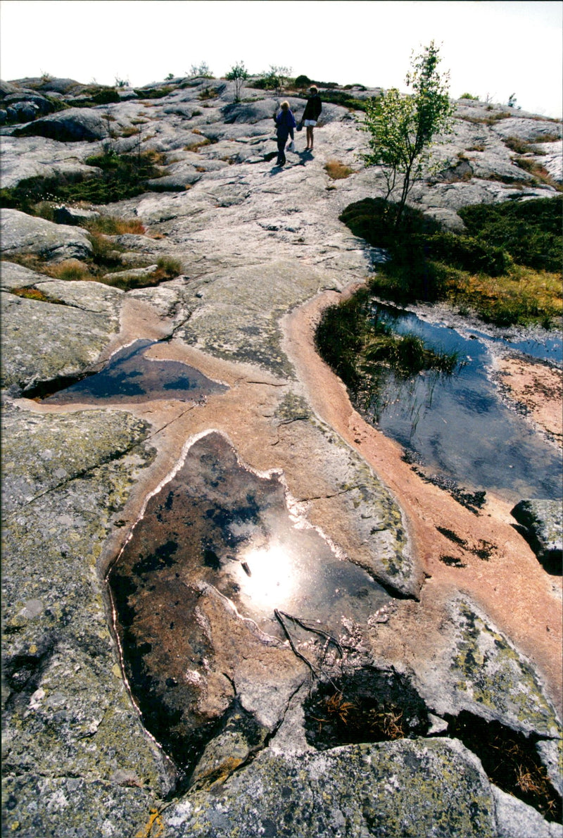 Stockholm archipelago - Nature reserve Bullerön - Vintage Photograph