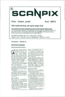 Stockholm archipelago - Nature reserve Bullerön - Vintage Photograph