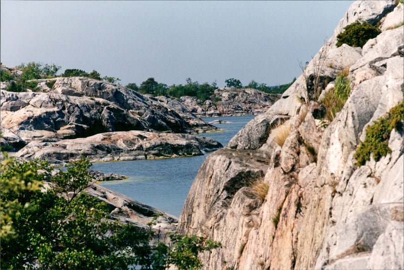 Stockholm archipelago - Nature reserve Bullerön - Vintage Photograph
