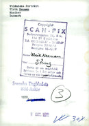 Ulrik Neumann, musician - Vintage Photograph