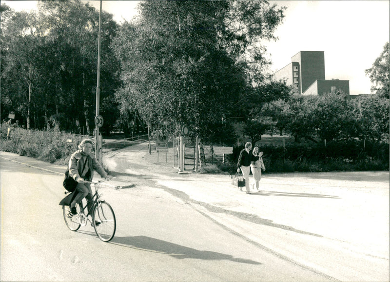 The Northern link - Vintage Photograph