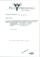 VOLVO DESK DALUM IMAGE DALE ACTION DELIVERY BLFS - Vintage Photograph