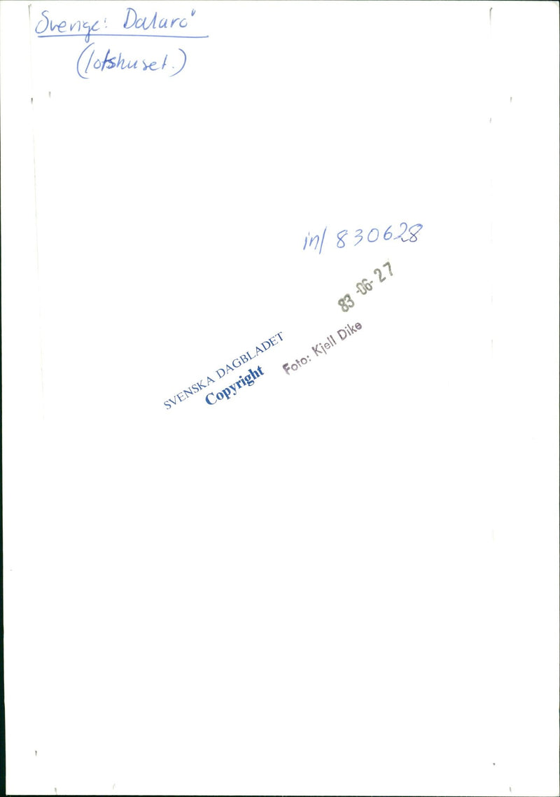 DALALRO SKANS SIGNED NATURE DIKE INL KJELL DAIBLADED PILOT ENGLIS - Vintage Photograph