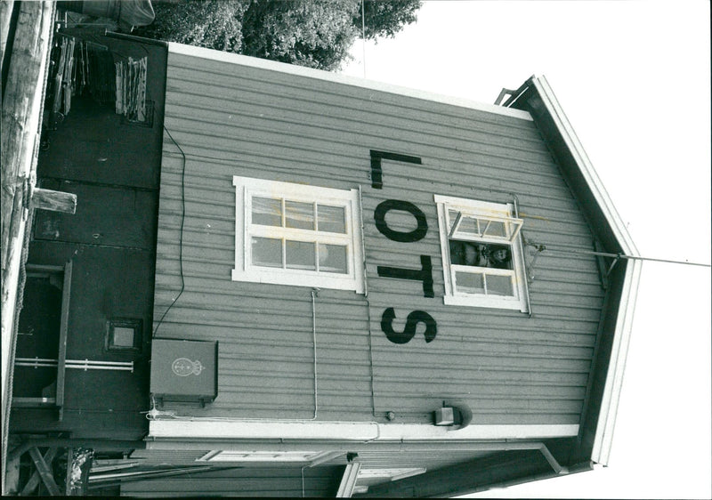 DALALRO SKANS SIGNED NATURE DIKE INL KJELL DAIBLADED PILOT ENGLIS - Vintage Photograph