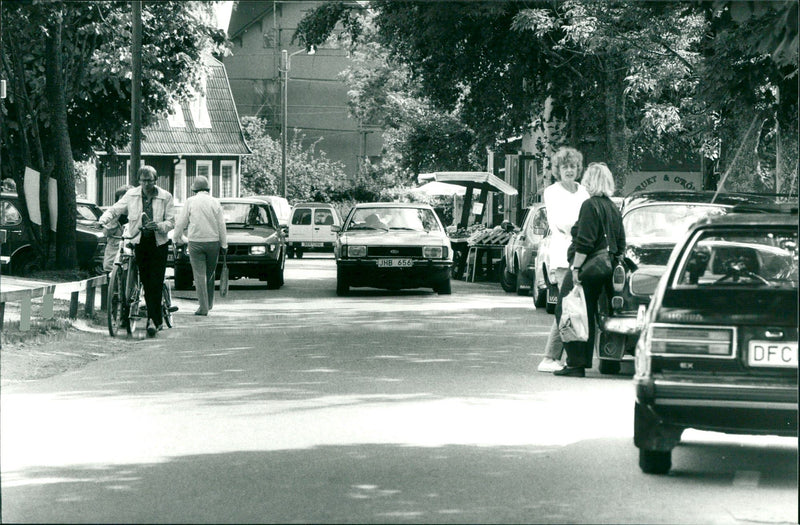 DALALRO SKANS SIGNED NATURE DALARU DAIBADE RJUANGE - Vintage Photograph