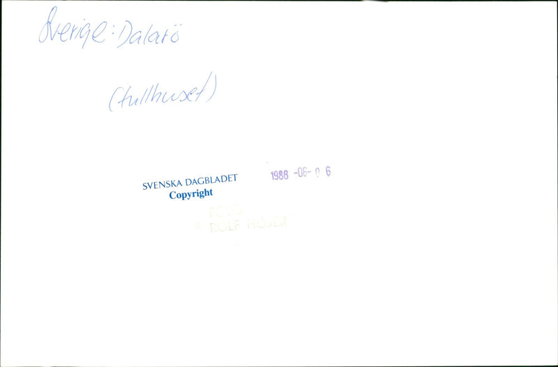 1986 DALALRO SKANS SIGNED NATURE CHULLUSES ENGLISH DALATO DAIBLADED - Vintage Photograph