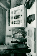 1986 DALALRO SKANS SIGNED NATURE CHULLUSES ENGLISH DALATO DAIBLADED - Vintage Photograph