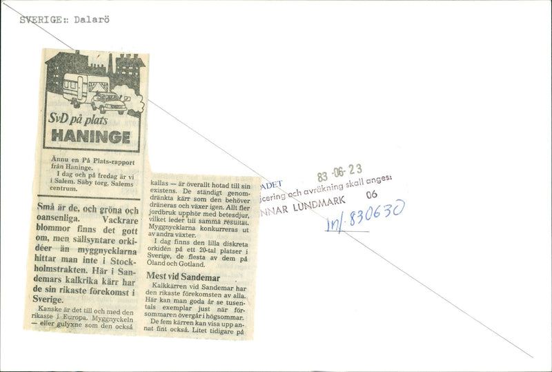 DALALRO SKANS SIGNED NATURE LEADS RESULT BEAUTIFULER ANIMALS THEIR ADET ICI - Vintage Photograph