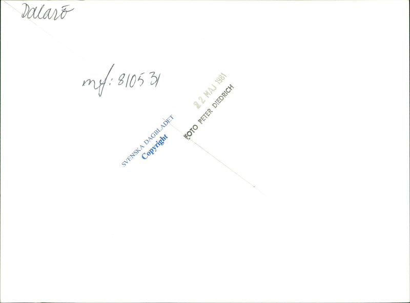 1981 DALALRO SKANS SIGNED NATURE DAIBLAD ENGLISH - Vintage Photograph