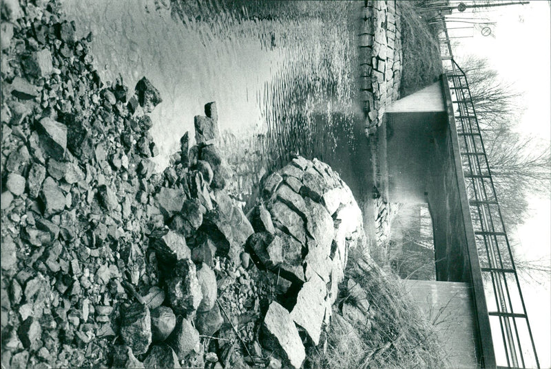 1978 DALALRO SKANS SIGNED NATURE WATER EVEN LACKS - Vintage Photograph