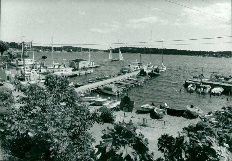 1983 DALALRO SKANS SIGNED NATURE PONS COMMENTS ARE USED - Vintage Photograph