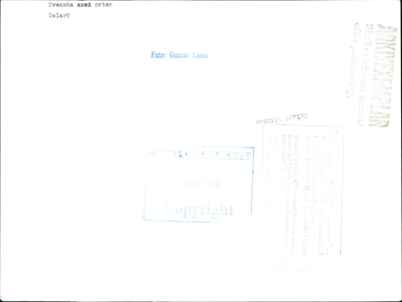 DALALRO SKANS SIGNED NATURE SWEDISH DETEC DALARO VIET LOCAL - Vintage Photograph