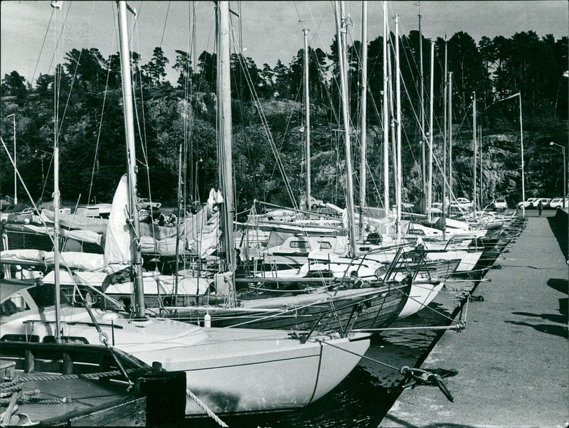 DALALRO SKANS SIGNED NATURE SWEDISH DETEC DALARO VIET LOCAL - Vintage Photograph