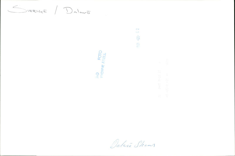 1987 DALALRO SKANS SIGNED NATURE OLAIA CEO DALARO PHOTO - Vintage Photograph