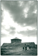 1992 DALALRO SKANS SIGNED NATURE SKAUS DALARO - Vintage Photograph