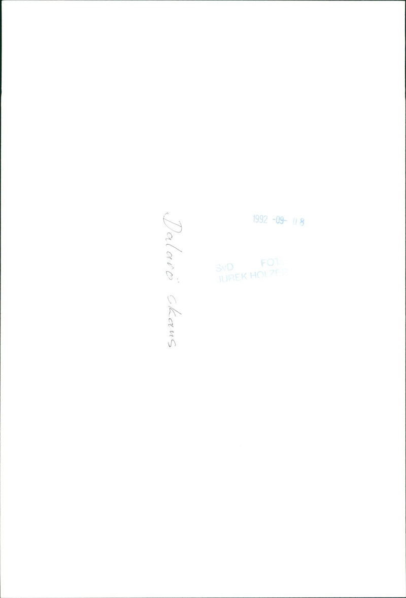 DALALRO SKANS SIGNED NATURE DALARE CHANCE - Vintage Photograph