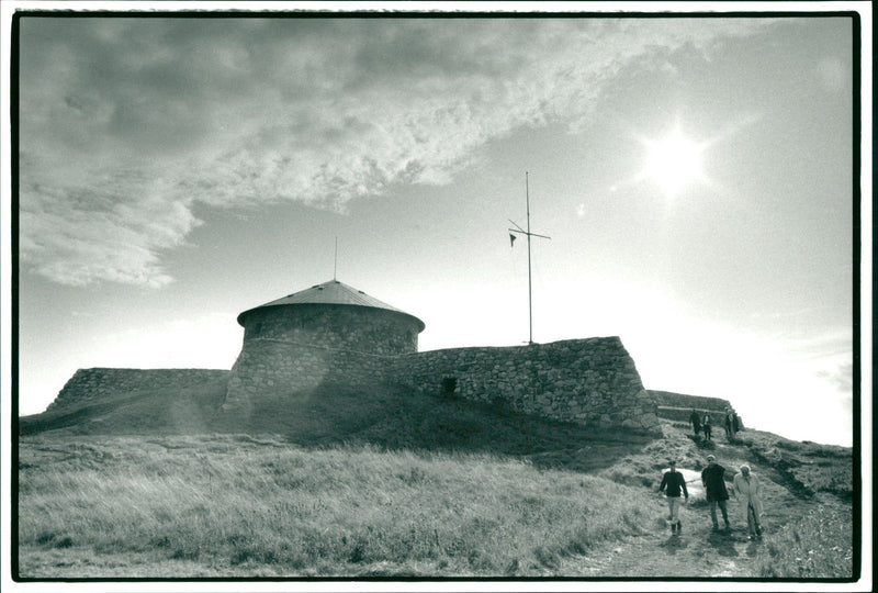 DALALRO SKANS SIGNED NATURE DALARE CHANCE - Vintage Photograph