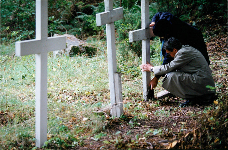 1992 DALALRO SKANS SIGNED NATURE CHICKENS SOLDIERS DALARO TOM - Vintage Photograph