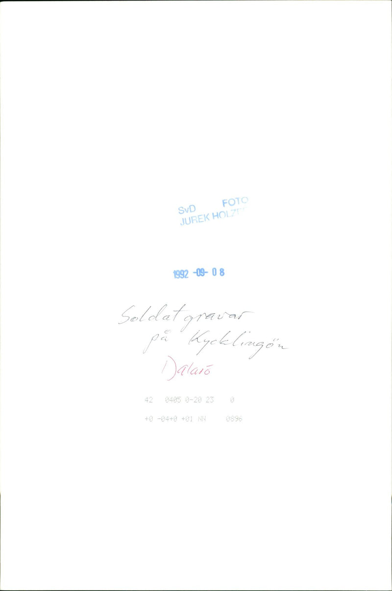 1992 DALALRO SKANS SIGNED NATURE SOLAR ANER DALARO CHICKEN PHOTO JUREK HOLZ - Vintage Photograph