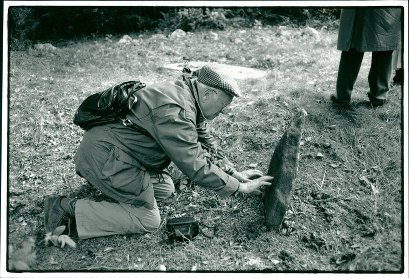 DALALRO SKANS SIGNED NATURE PROJECT DALARO LAND FAHLSTROM BENGT HOLZE SOLL - Vintage Photograph