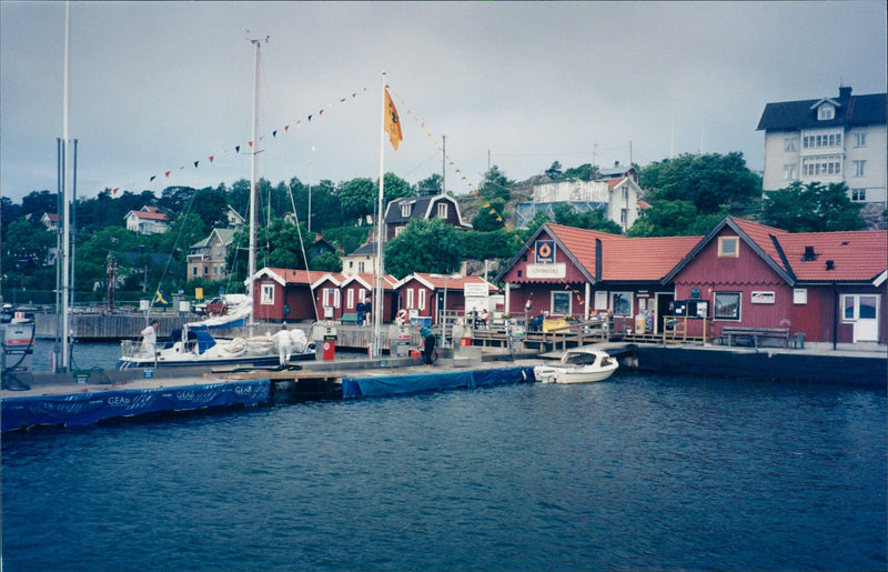 1996 DALALRO SKANS SIGNED NATURE TELEPHONE SWEDEN RESPONSE - Vintage Photograph