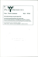 DALALRO SKANS SIGNED NATURE SWEDEN RESPONSIBLE DESK - Vintage Photograph