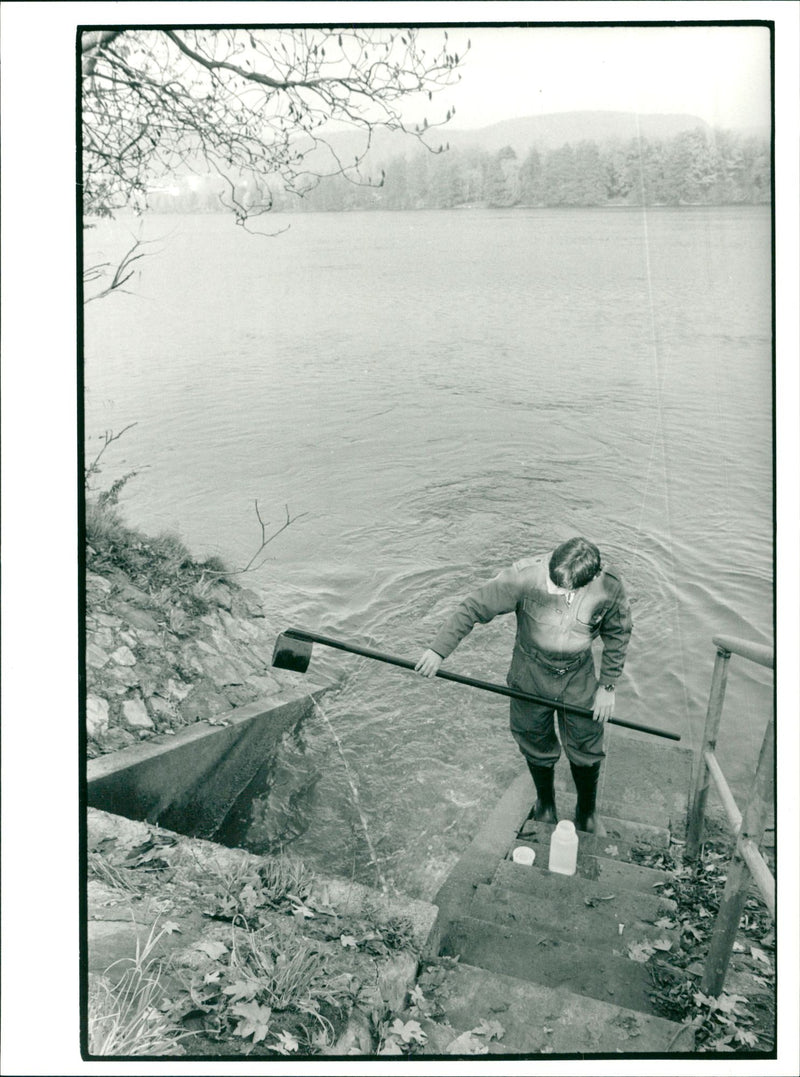 River Rhine - Vintage Photograph