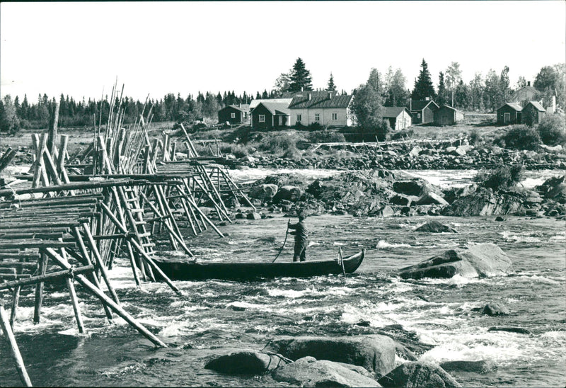 Agricultural Travel In Norrbotten - Vintage Photograph