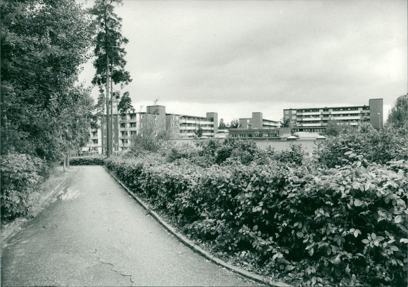 Husby - Vintage Photograph