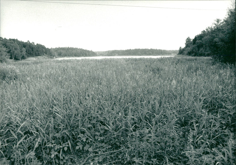 Huddinge Municipality, Sweden. - Vintage Photograph