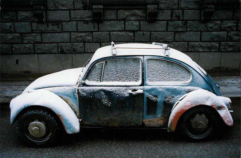 Volkswagen. The Beetle in the Royal Garden - Vintage Photograph