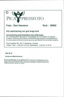 Karlskrona Marine Museum - Vintage Photograph