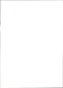 Renault Clio - Baccara - Vintage Photograph