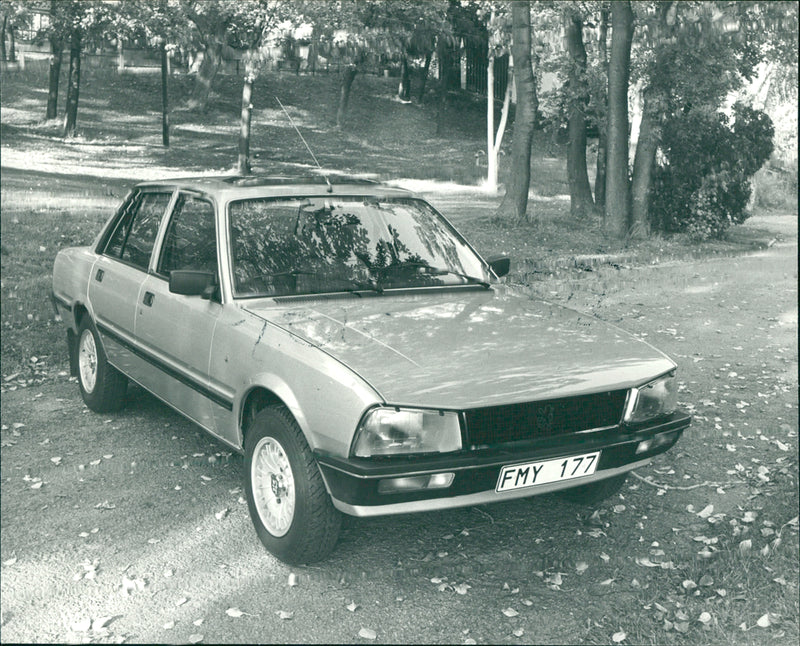 Peugeot 505 - Vintage Photograph