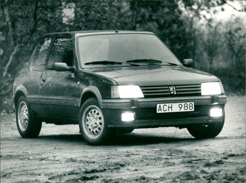 Peugeot 205 - Vintage Photograph