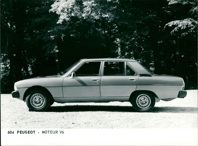 Peugeot - Vintage Photograph