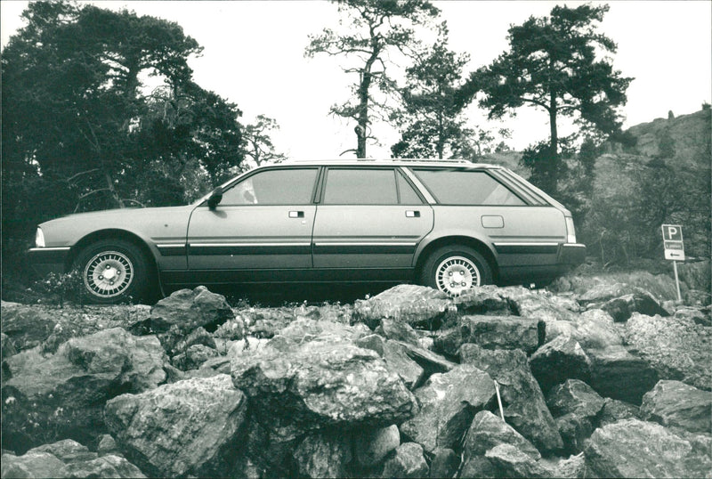 Peugeot 505 - Vintage Photograph