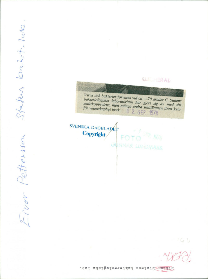 Eivor Pettersson storing virus and bacteria at The State Bacteriological Laboratory - Vintage Photograph
