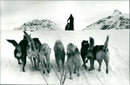 Greenland - Vintage Photograph