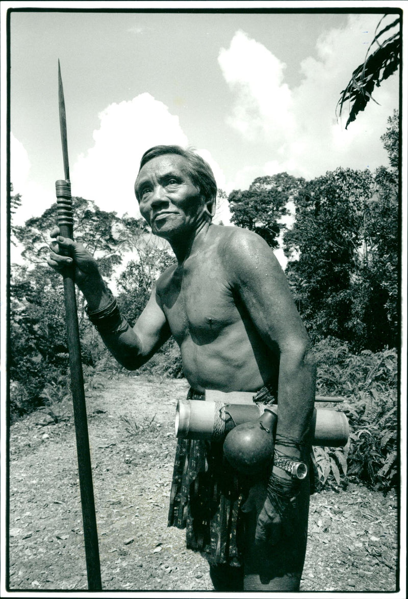 Laloh on a forest car road that was cleared when logging started in Sarawak - Vintage Photograph