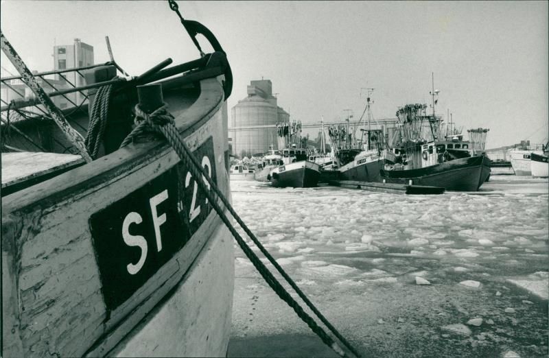 Fishing boats in Slite - Vintage Photograph