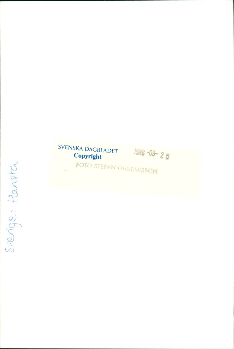 Hansta nature reserve - Vintage Photograph