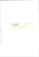 Stump in Hansta nature reserve - Vintage Photograph